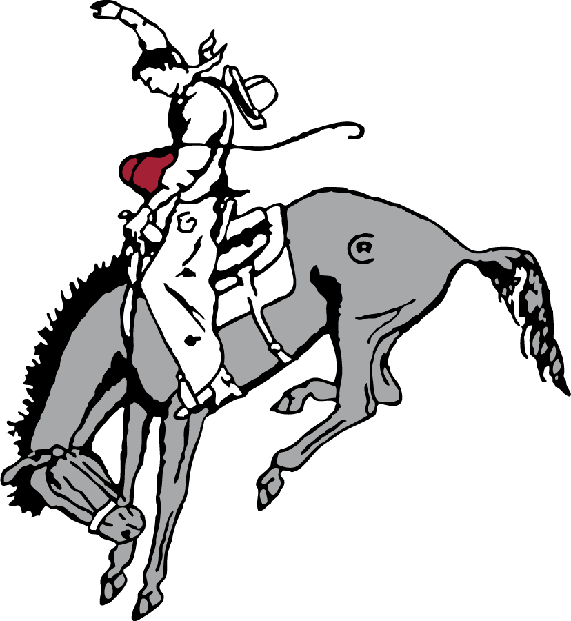 Rider Broncs 1928-1989 Primary Logo diy iron on heat transfer